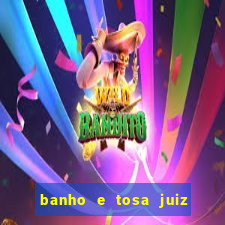 banho e tosa juiz de fora